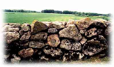 One of the many stone walls built by Leonard Gyllenhaal at Hberg, his estate in Vstergtland, Sweden.